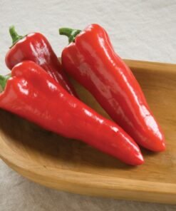 Carmen Pepper - Sweet Italian Frying